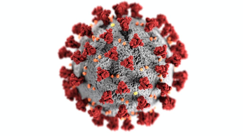 Covid 19 Virus