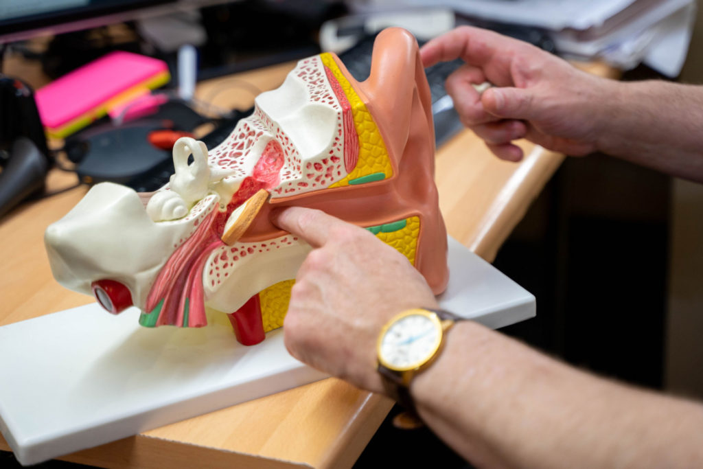 Nathan Gluck pointing to an inner ear diagram